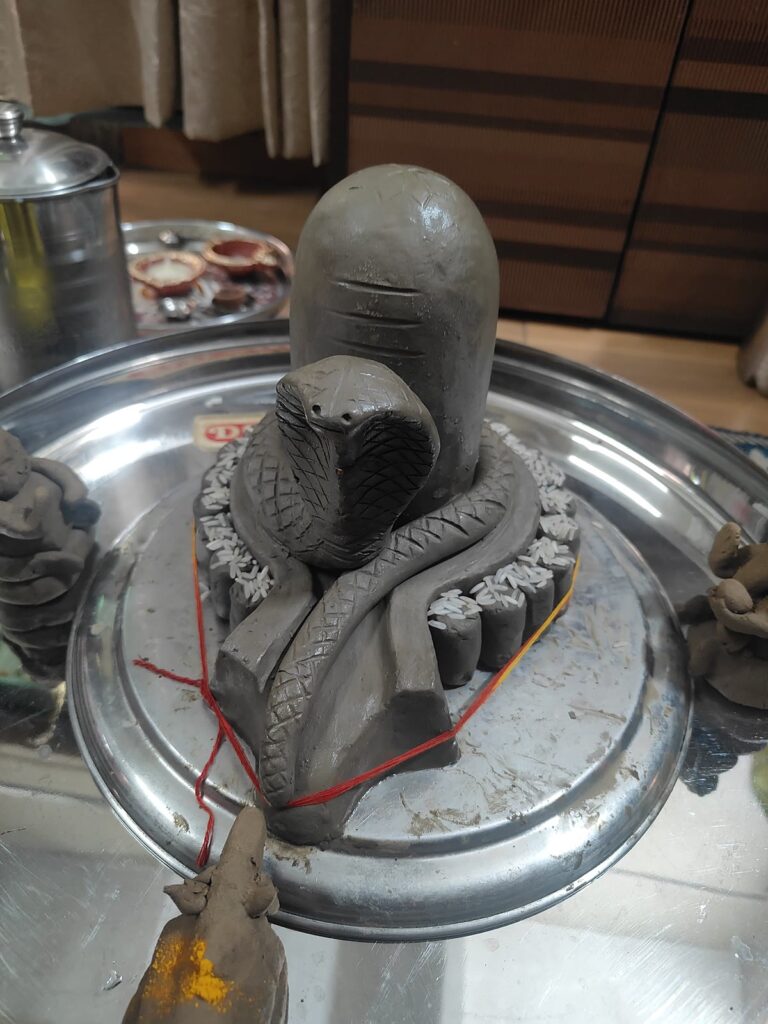 Close-up of a Shivling with the naga coil in the abhishek patra during a Rudrabhishek puja